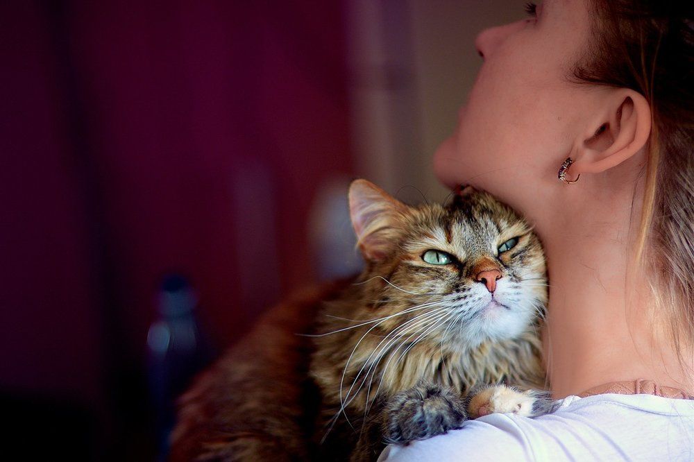 это любовь!