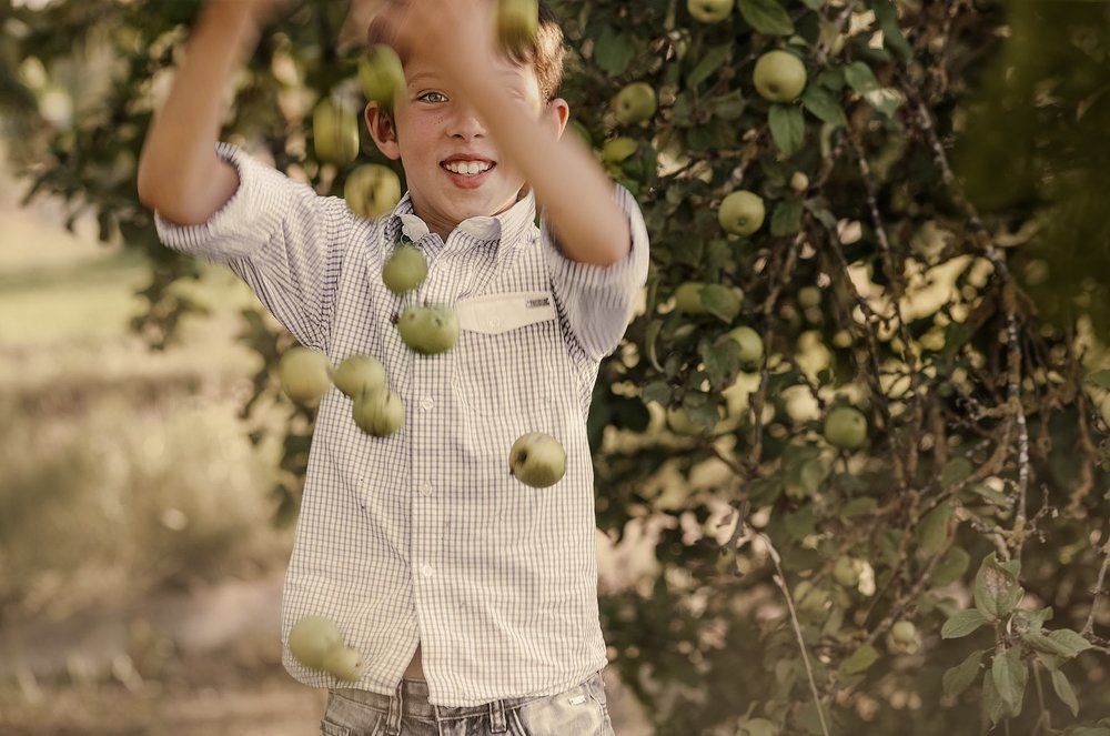 лесная дикая яблоня