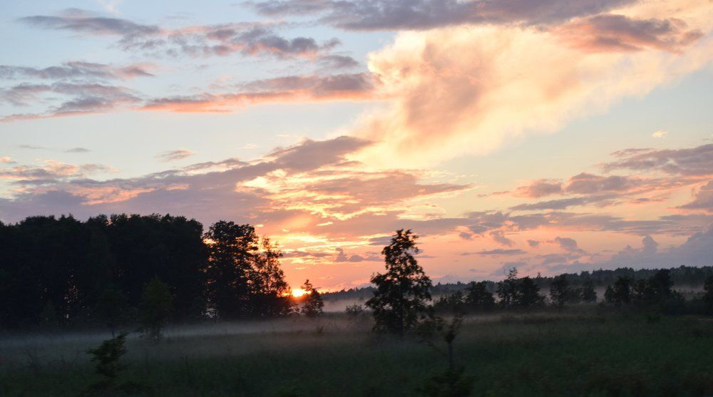 Лето, закат. Туман.