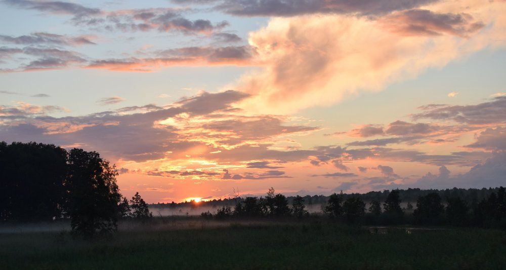 Красота летней природы.