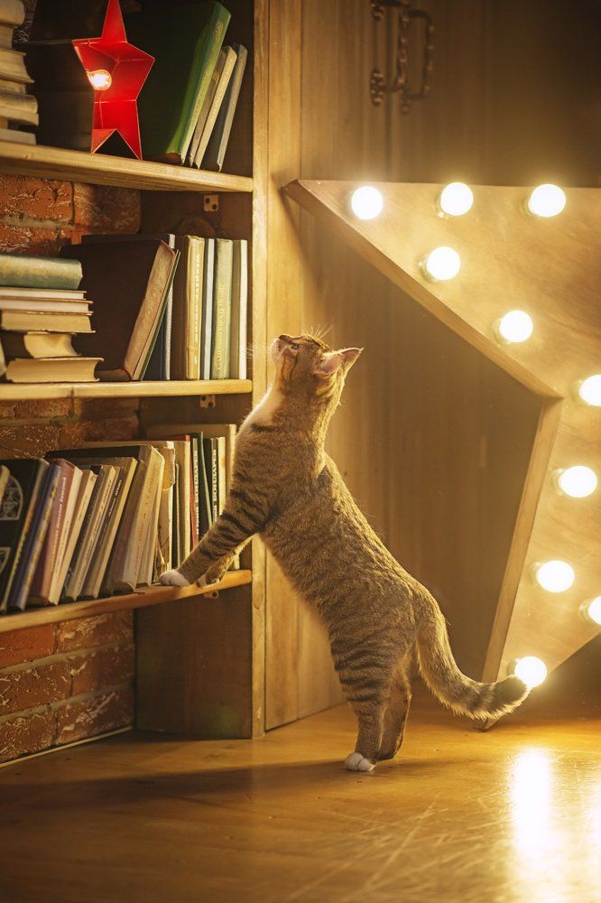 Photograph by Марина