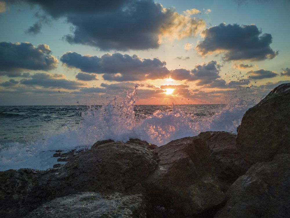 Photograph by Semion Ribinik