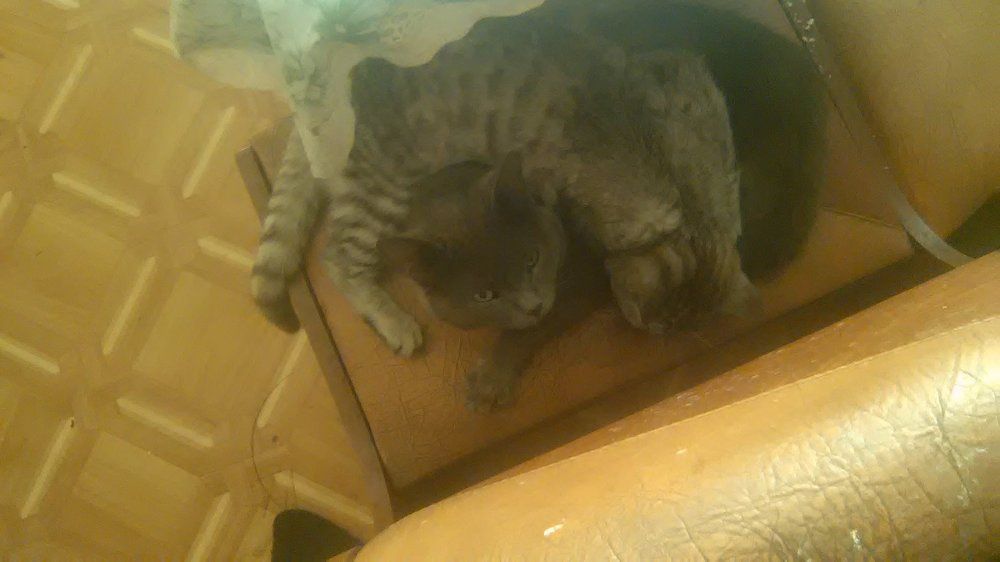 Photograph by Ольга Зонова