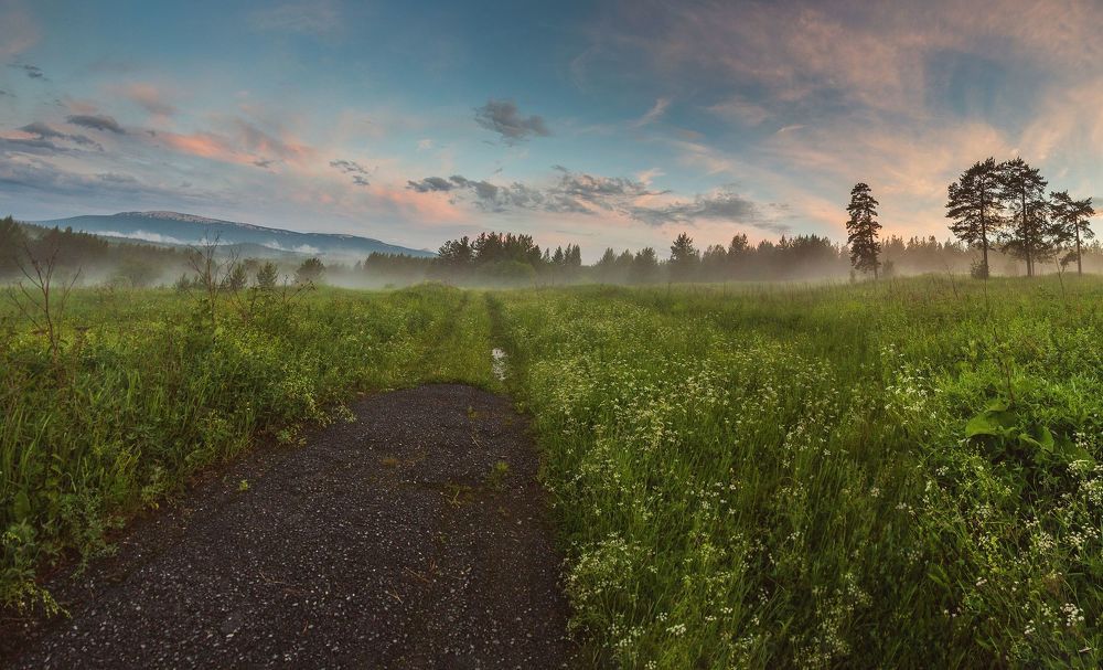 Туман после дождя