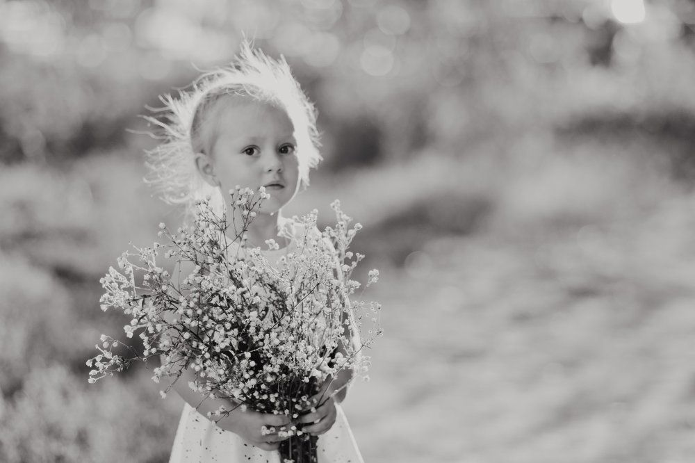 летний ветер