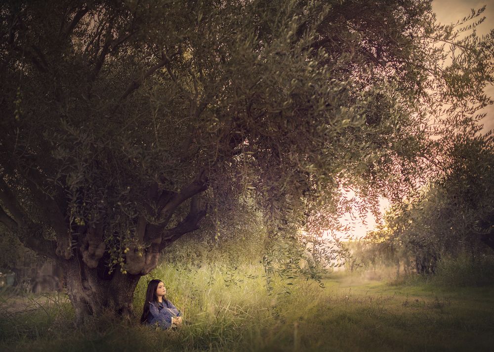 Under the olive tree