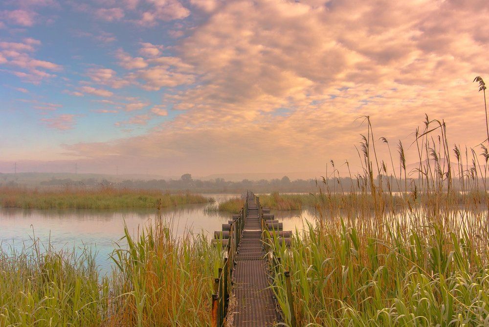 Между берегами