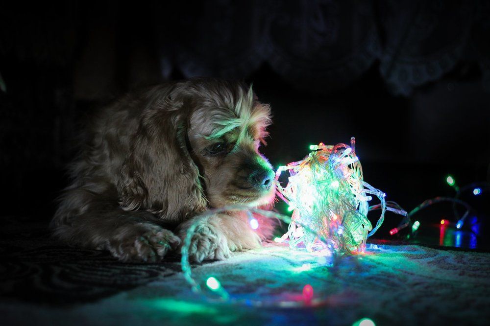 Photograph by Екатерина Мартынова