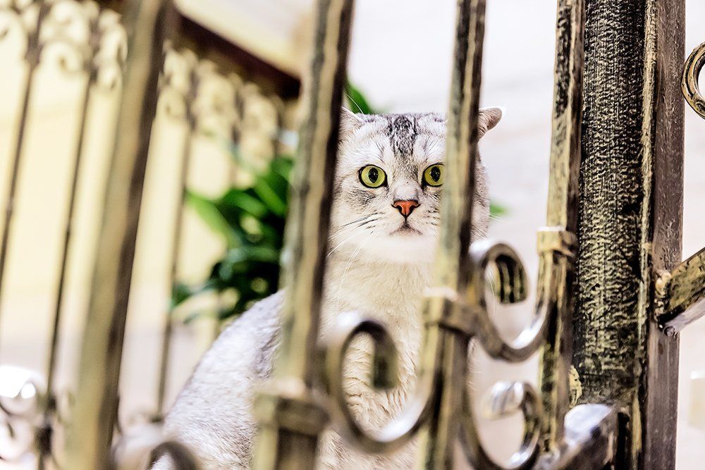 DO NOT MAKE ME SCARED.