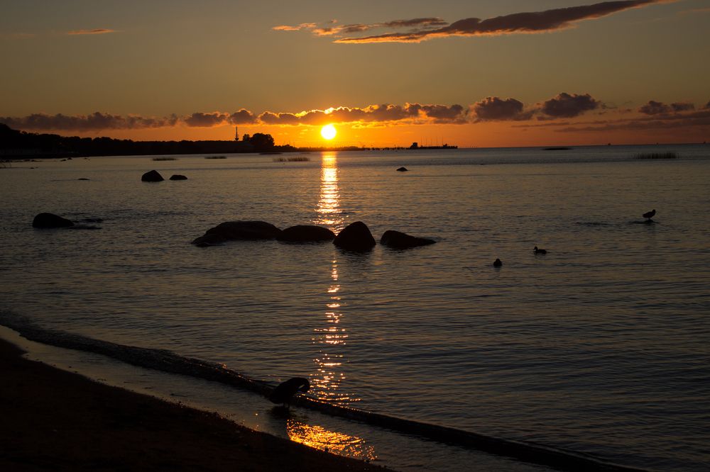 Photograph by Екатерина Мартынова