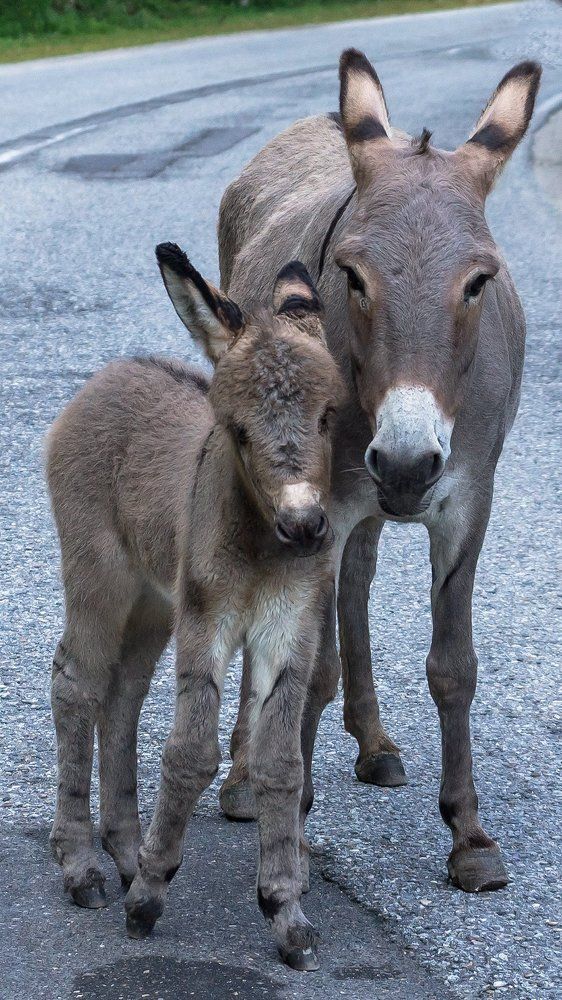 Фотография автора Zakharov Armen