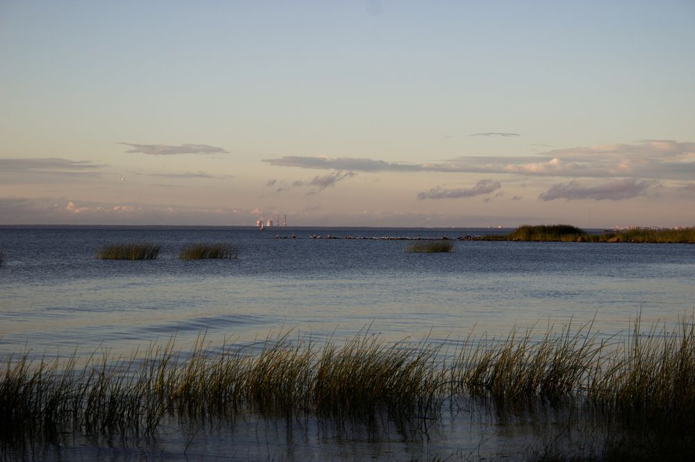 Photograph by Екатерина Мартынова