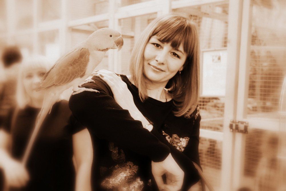 Фотография автора Елена Бракоренко