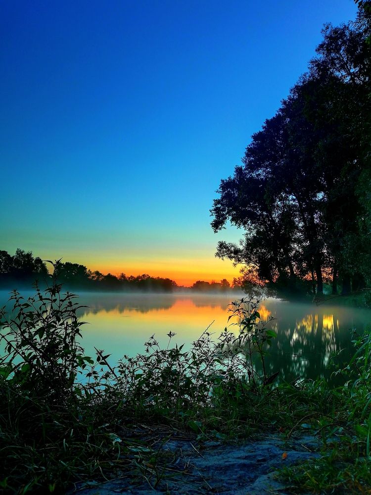 Утро на речке