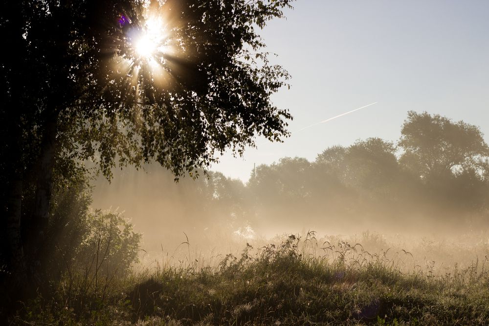 Photograph by Екатерина Мартынова