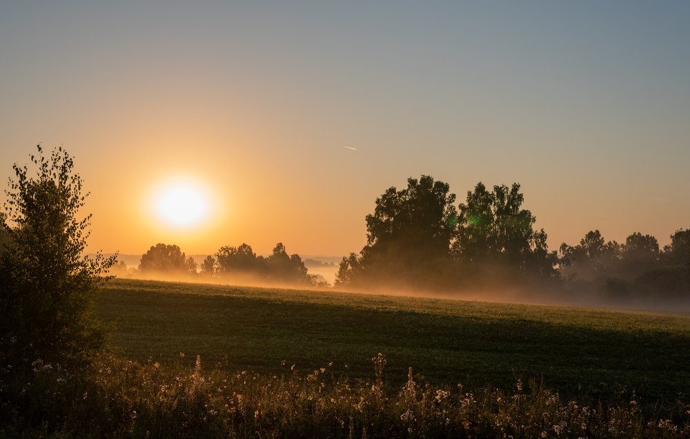 Photograph by Михаил Рогачев