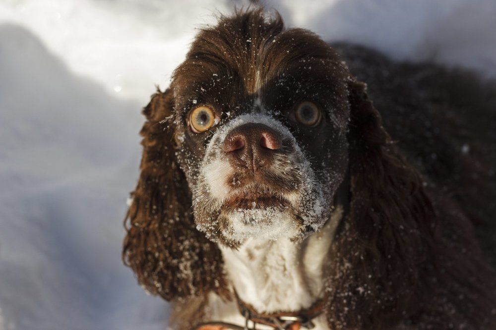 Photograph by Екатерина Мартынова