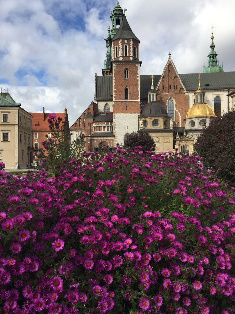 Photograph by Анар Амирова