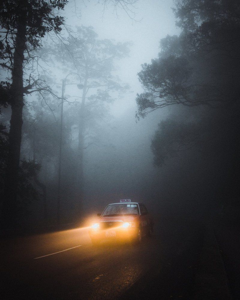 Through the fog