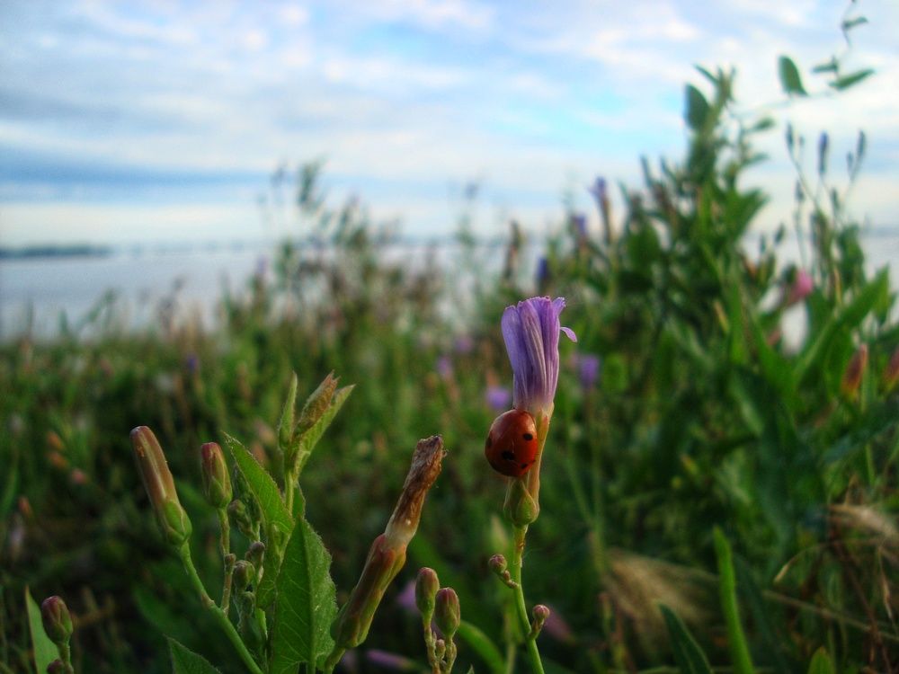 A tiny world is under our feet.