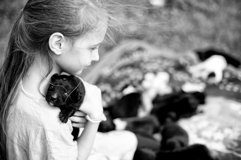 любовь к животным