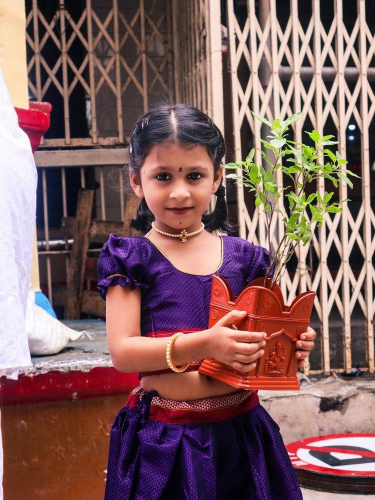 Traditional India