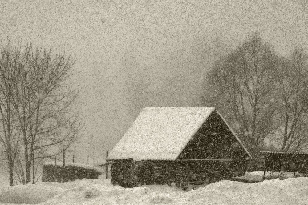 Photograph by Владимир Лосман