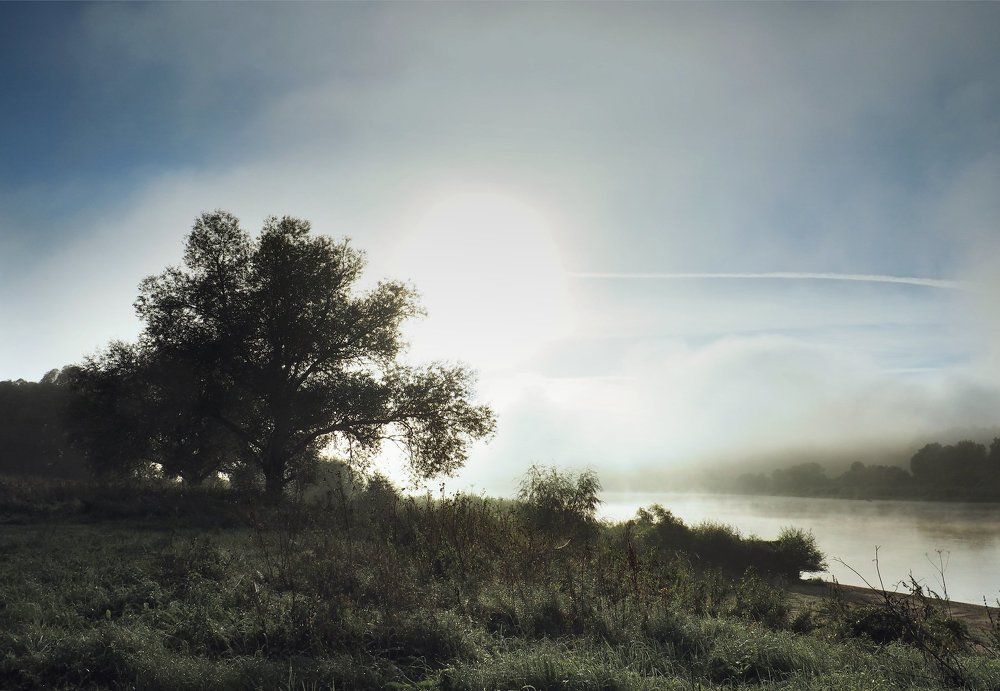 Утро на Оке