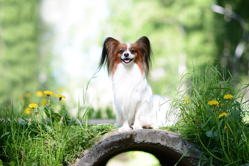 Только улыбайся