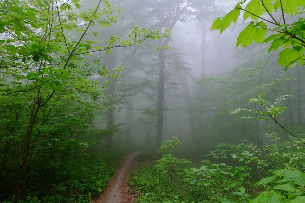 Photograph by Илья Панкратов