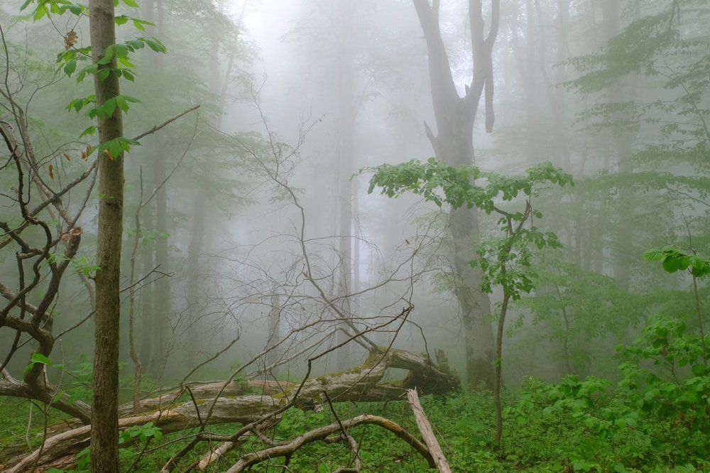 Photograph by Илья Панкратов