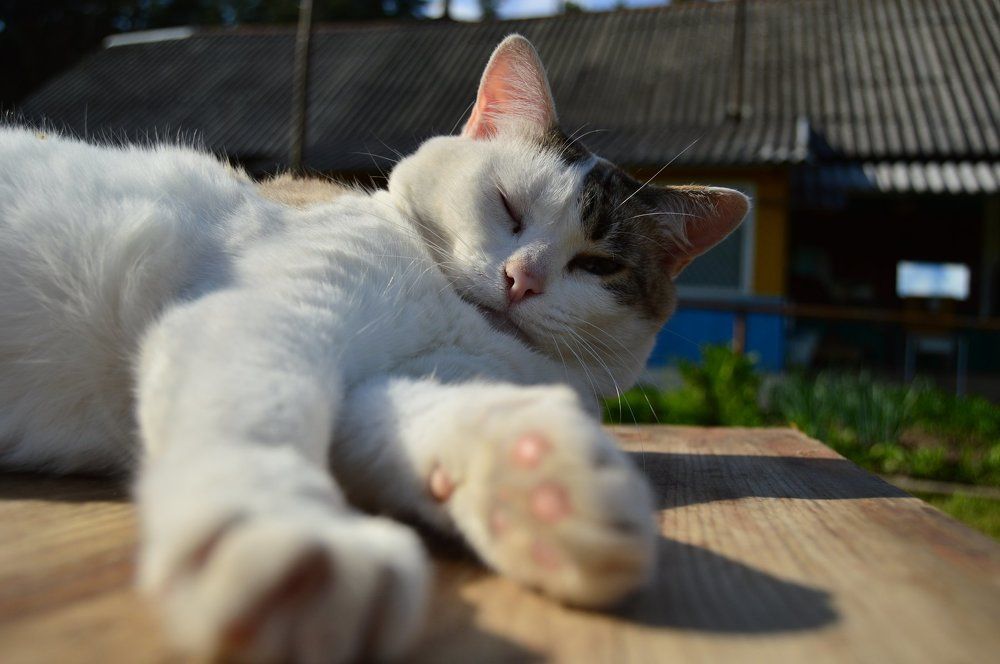 Пробуждение