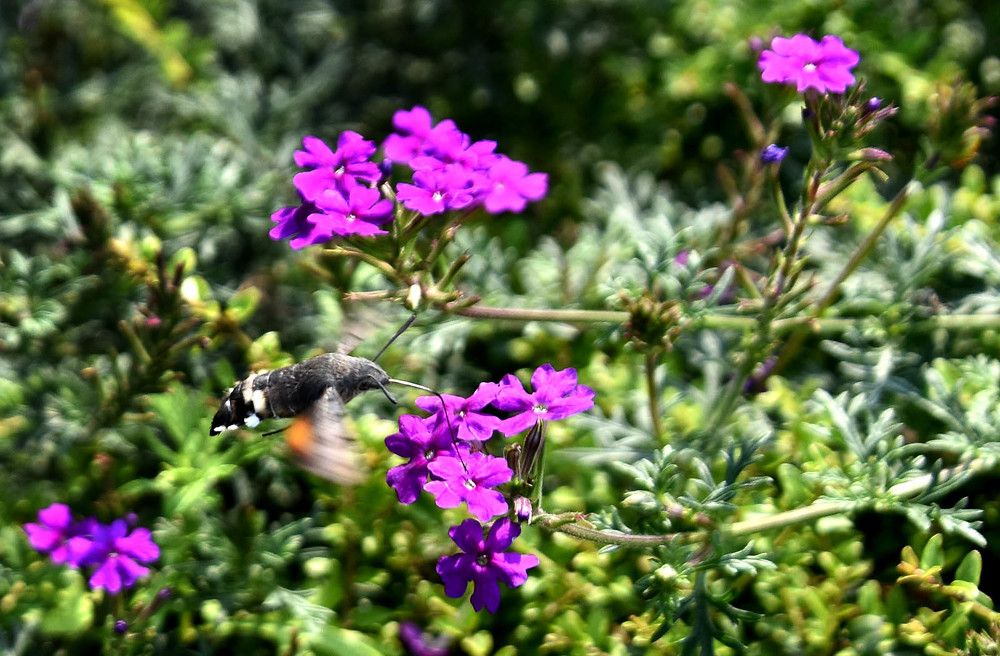 Photograph by Khatia Jijeishvili