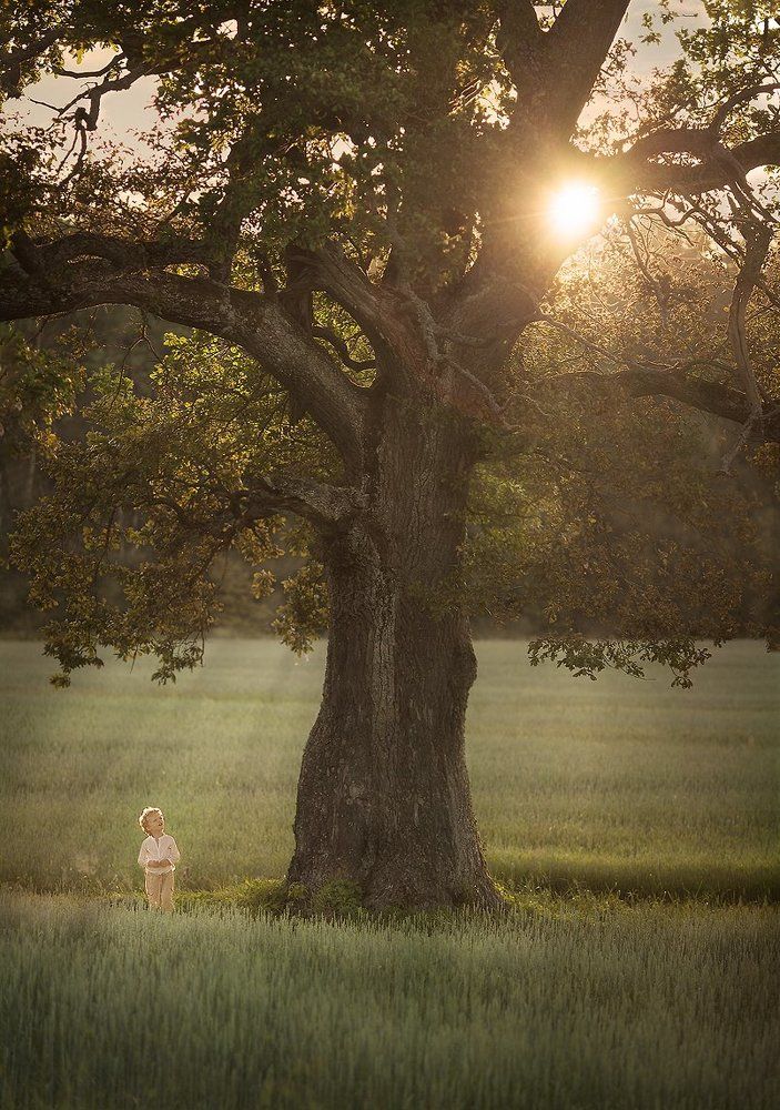 Большой мир маленького человека