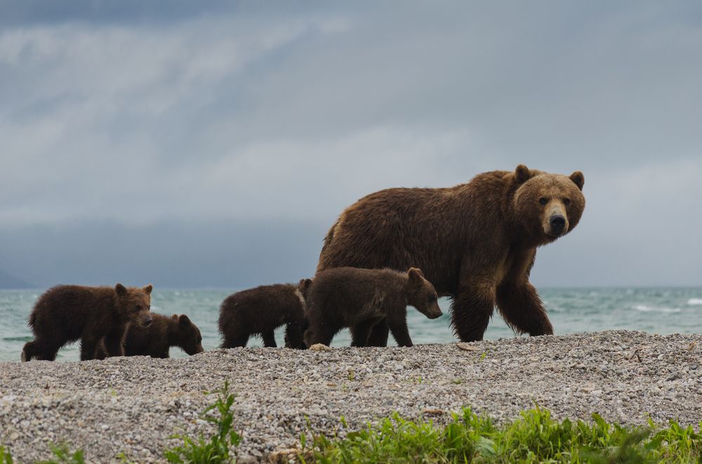 На прогулке