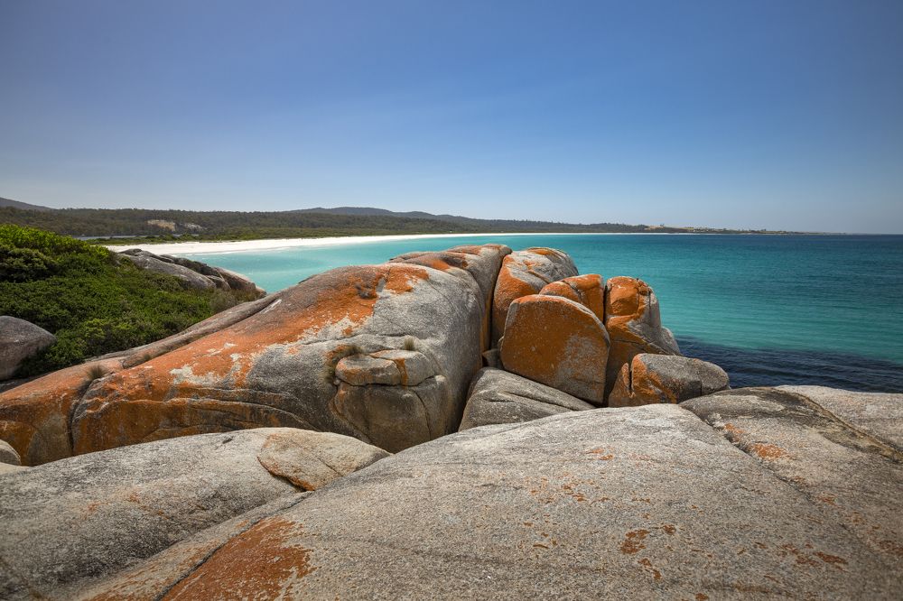 Вечные стражи