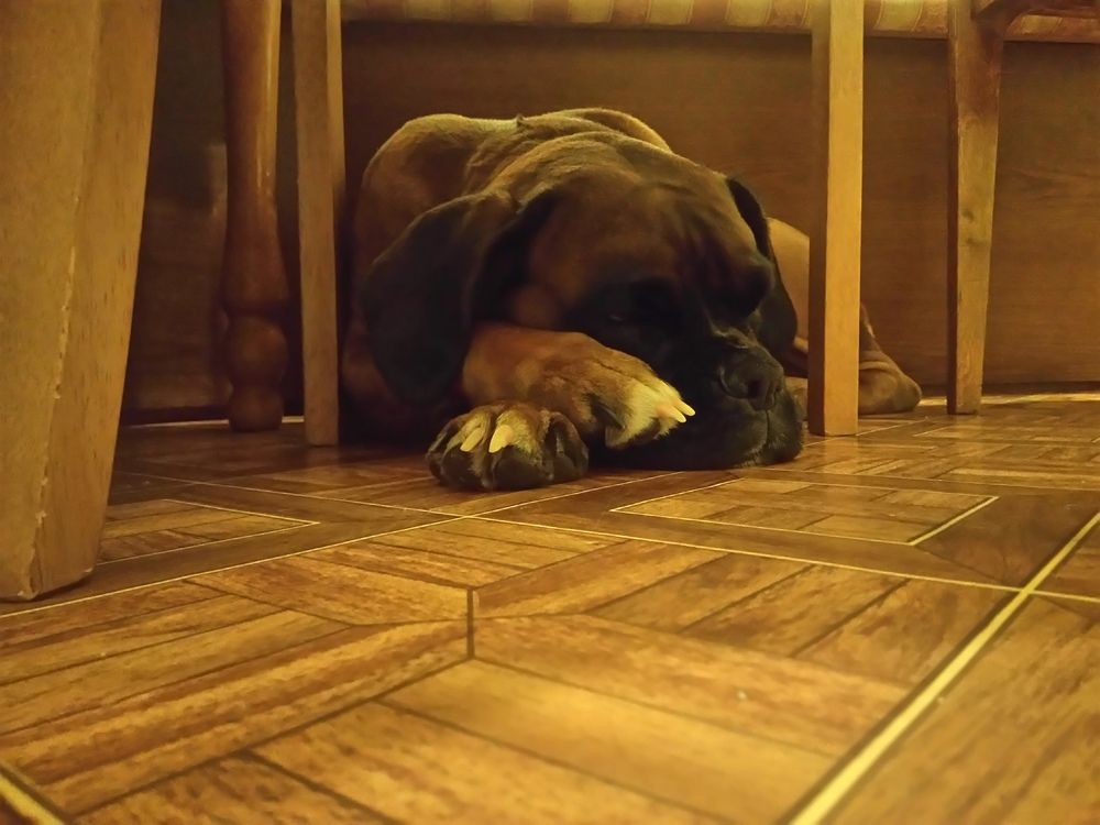 Блаженство