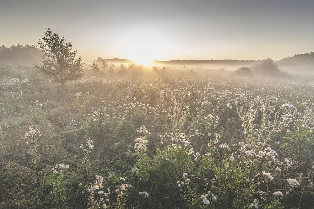 Photograph by Игорь Кляхин
