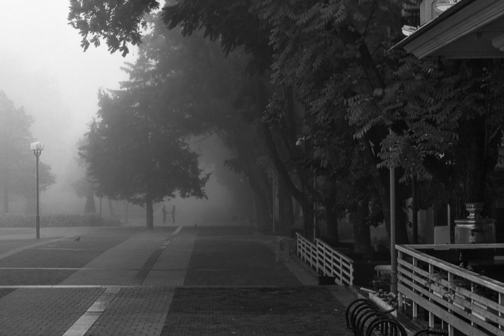 Photograph by Алексей Киров