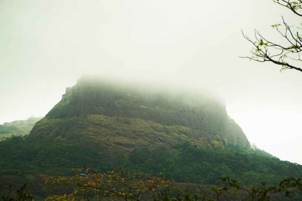 Fog and the Mountain