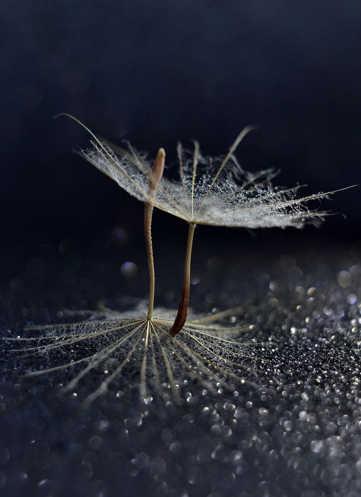 Ночные танцы