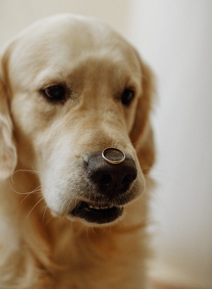 за секунду до...