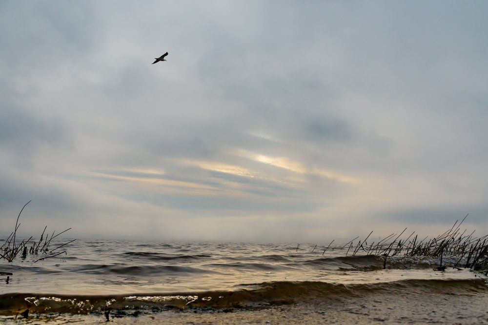 Photograph by Александр Бумагин