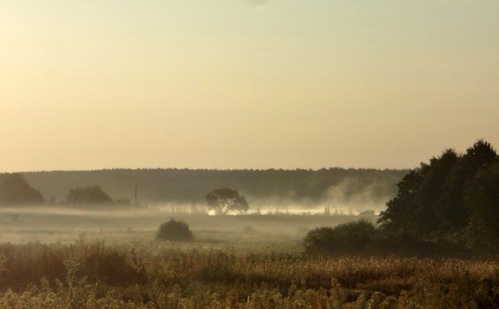 Утро туманное...