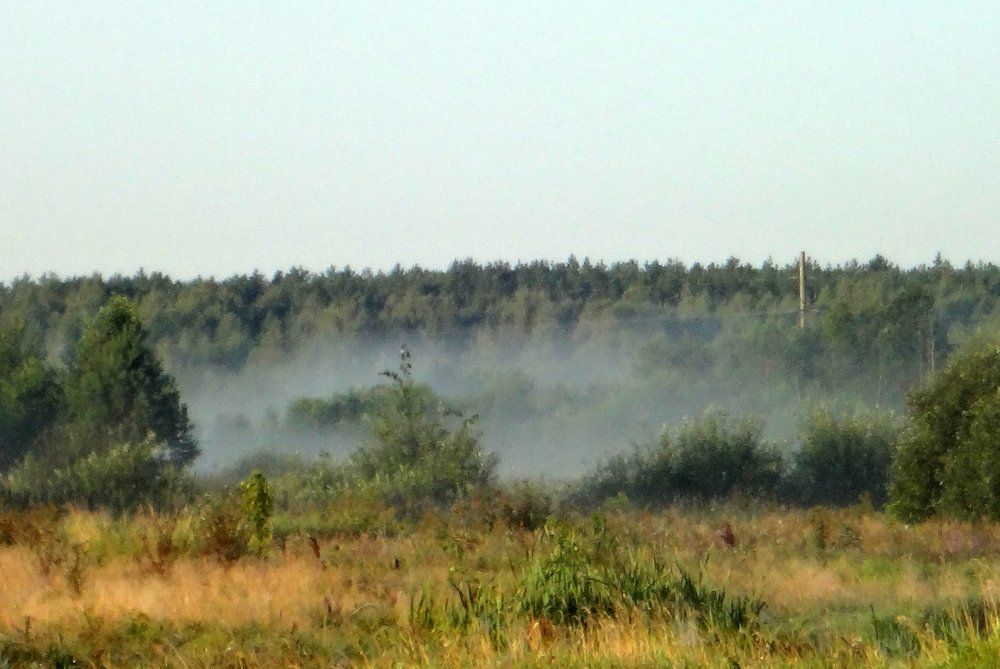 Туманное мгновение