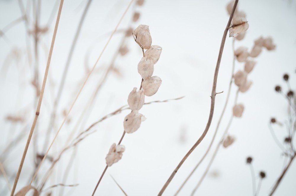 Photograph by Anastasia  Ka