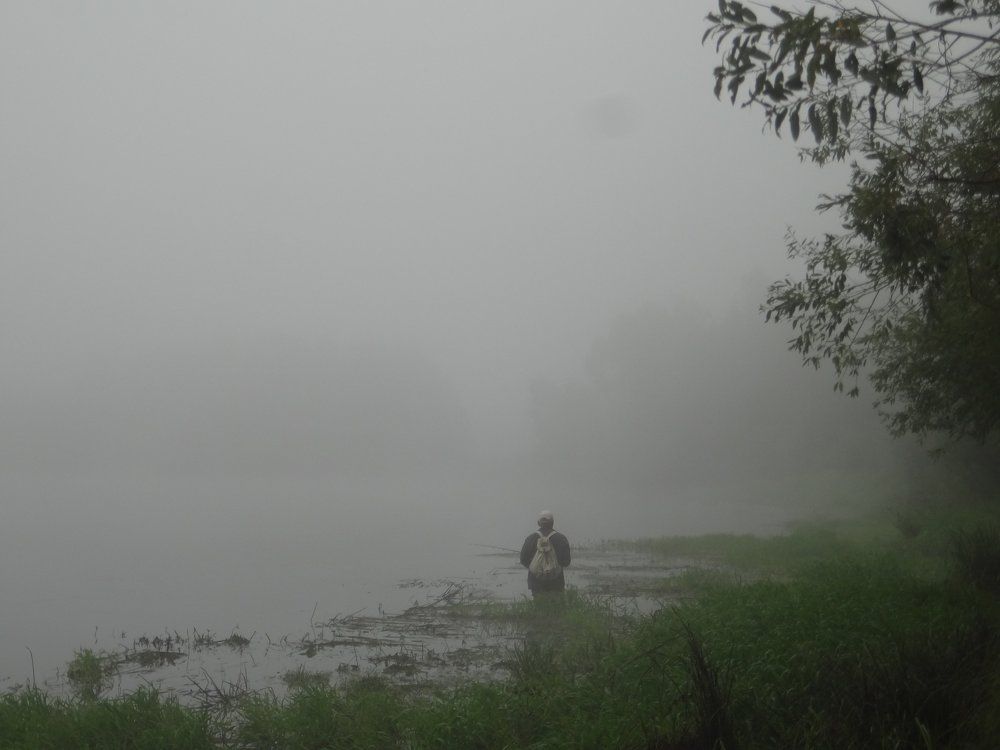 В туманной пелене