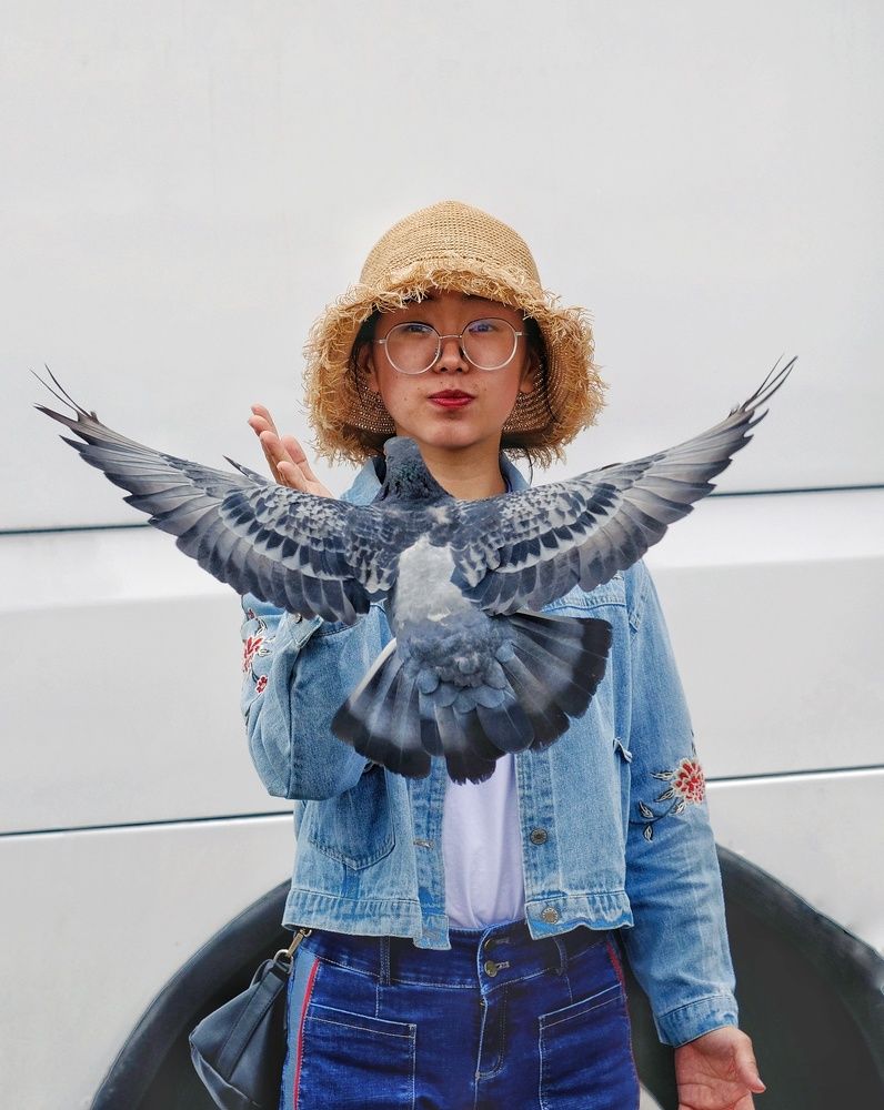 Голубиная любовь