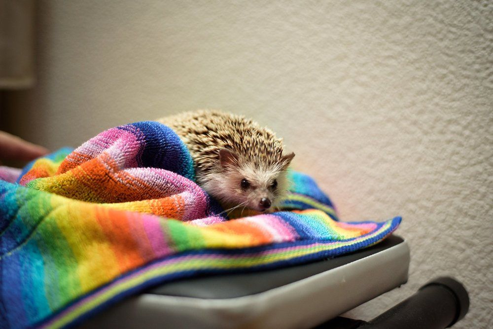 Photograph by Галина Лунева