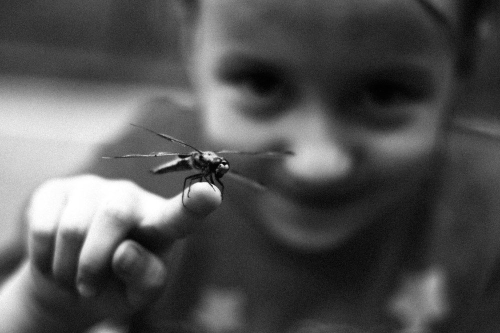 Photograph by Костылев Вячеслав